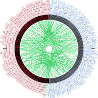 Large Scale Implementations for Twitter Sentiment Classification